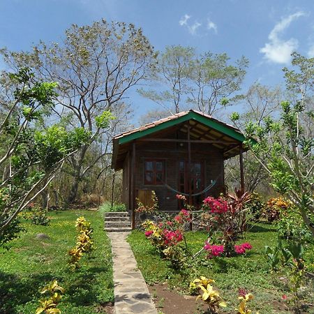 Finca Montania Sagrada Mérida Habitación foto