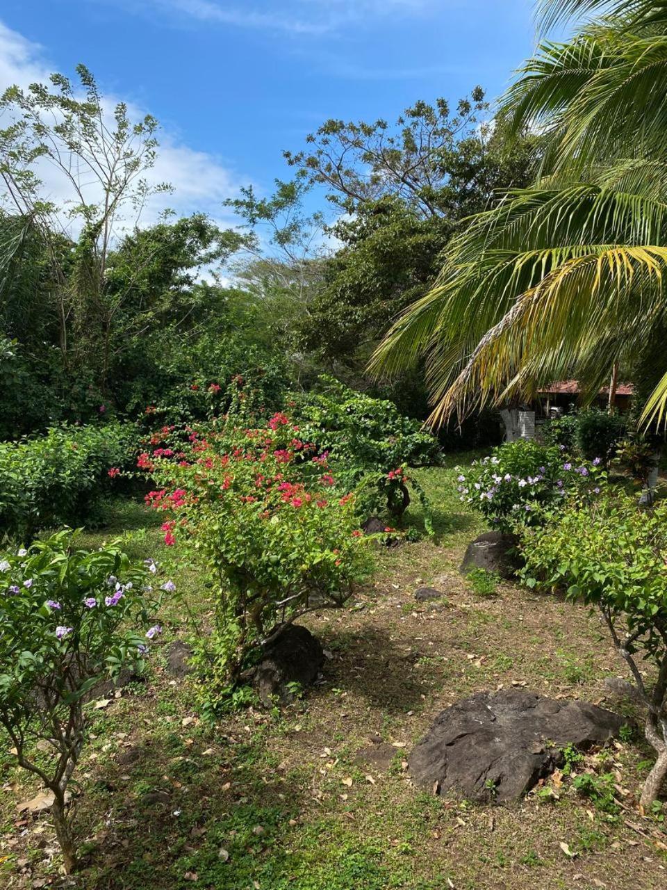 Finca Montania Sagrada Mérida Exterior foto
